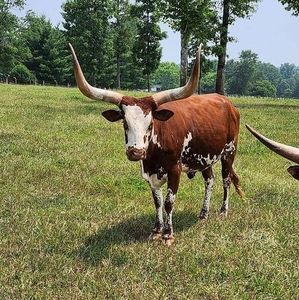 Meet your Posher, Max